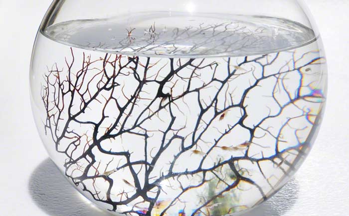 EcoSphere