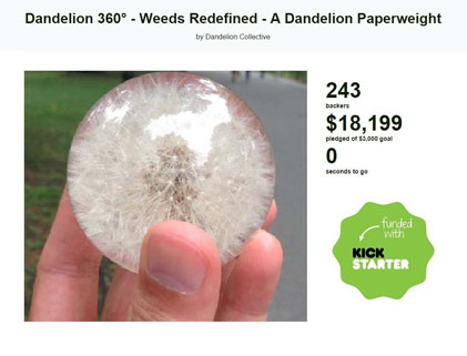 dandelion-kickstarter