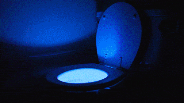 Toilet Bowl Night Light