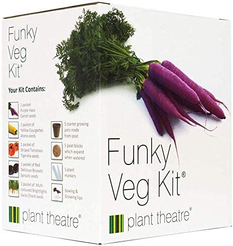 Fathers day gift idea funky veggie kit