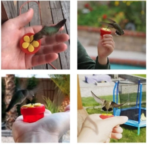 fathers day gift idea humming bird hand feeder for dad