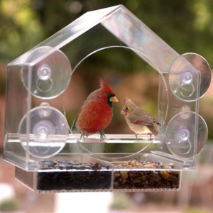 Bird feeder fathers day gift idea